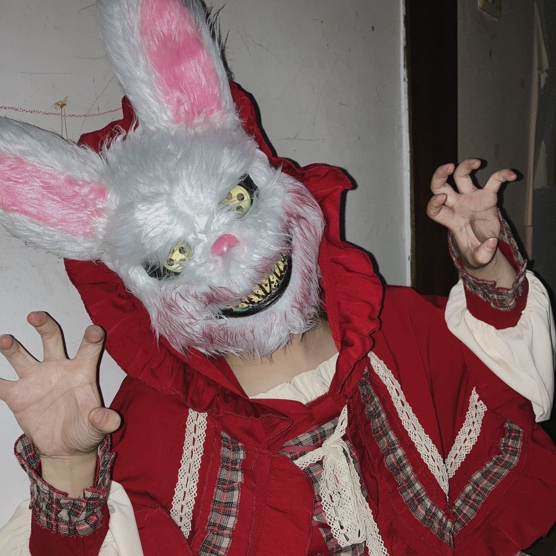 Halloween Rabbit & Bear Masks